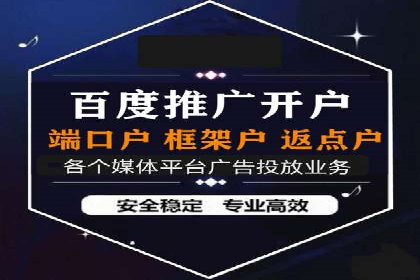 行业领先的SEM投放效果案例解析
